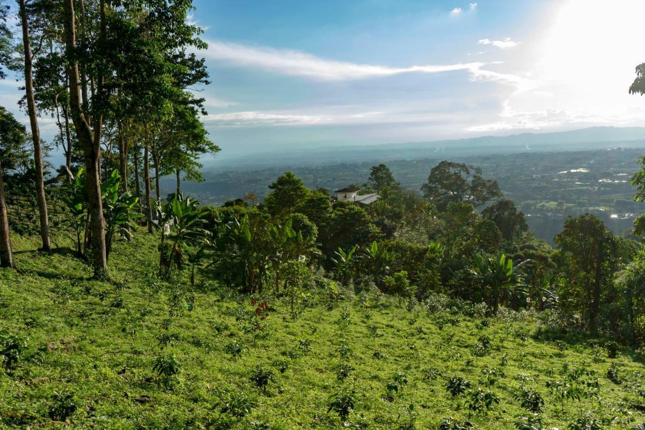 Готель El Fenix Coffee Каларка Екстер'єр фото