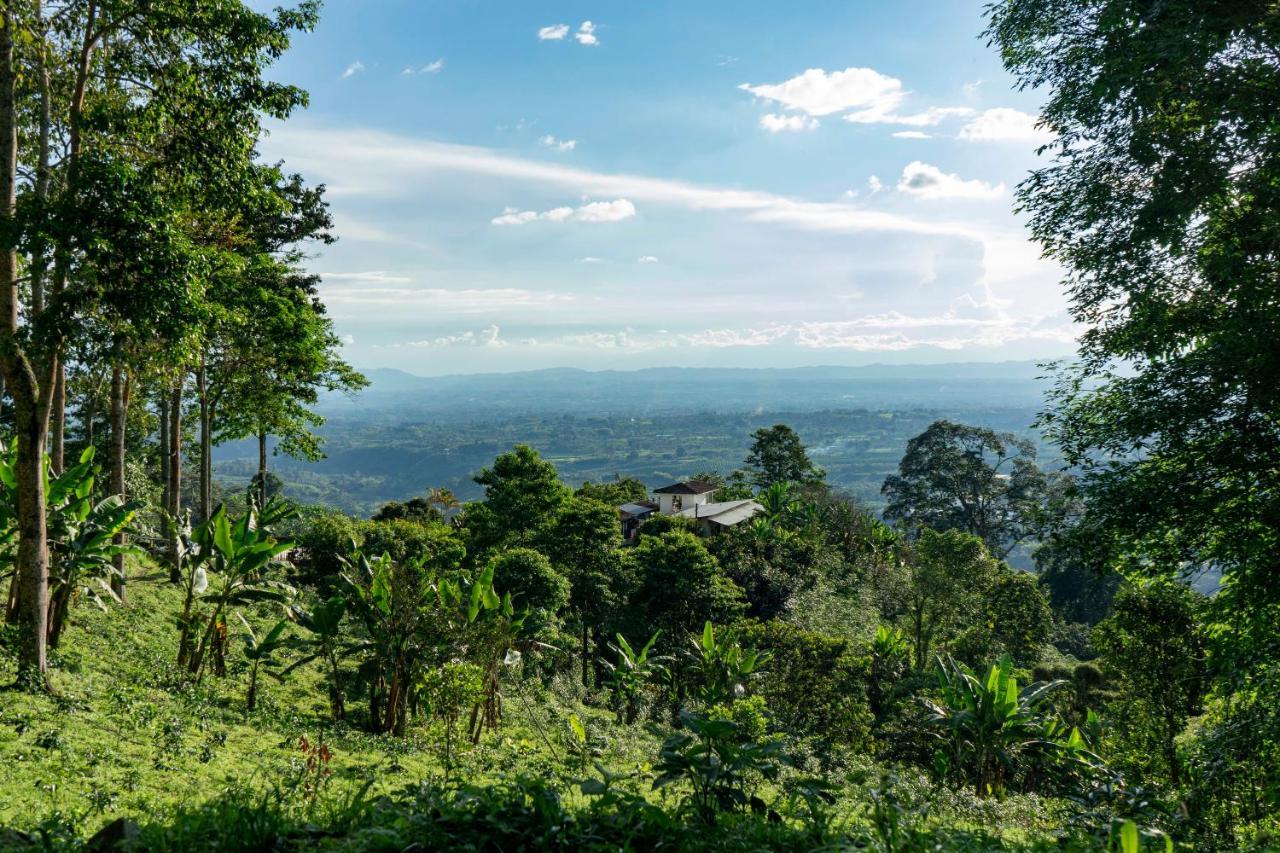 Готель El Fenix Coffee Каларка Екстер'єр фото
